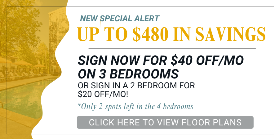 Maci 2025 New Lease Campaign PopUp (21)