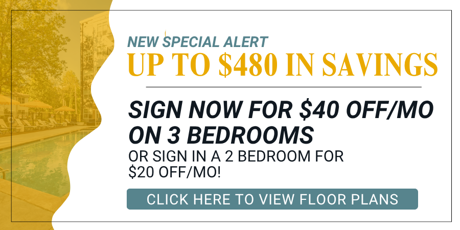 Maci 2025 New Lease Campaign PopUp (26)